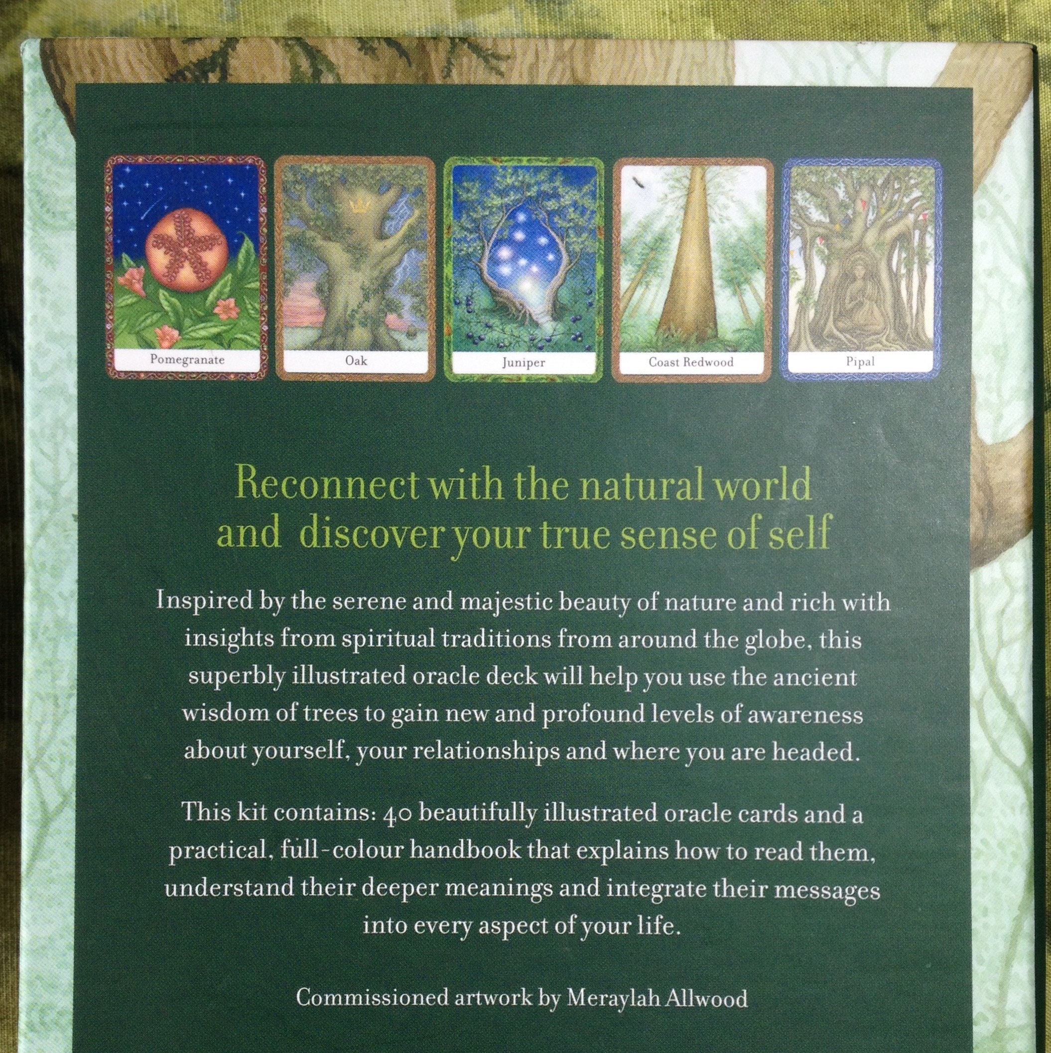 The Wisdom of Trees Oracle - Etsy UK