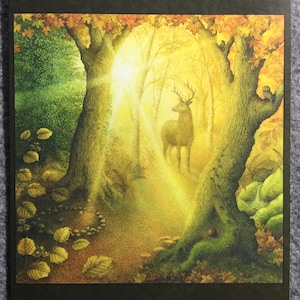 Camino del bosque salvaje