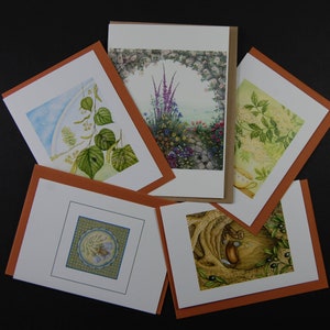 Set aus fünf Grußkarten: “Floral”.