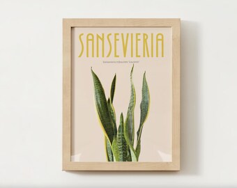 Poster de plante d'intérieur de Sansevieria Laurentii de serpent | Décoration murale oeuvre d'art de plante d'intérieur | Cadeau botanique pour amoureux des feuilles | Fleurs tropicales