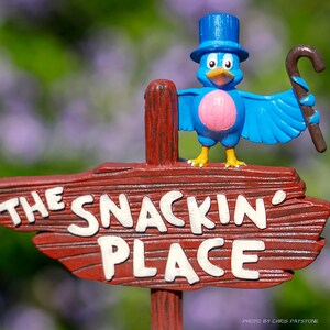 Snackin' With Mr. Bluebird Splash Mountain Magnet - Etsy
