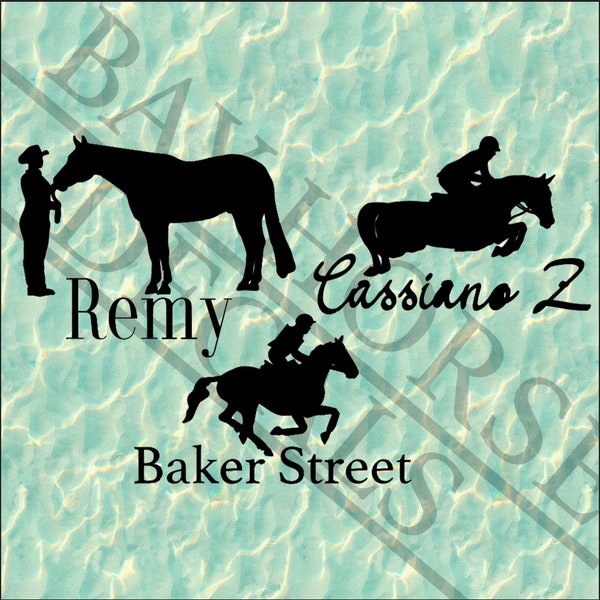 Forty (40) Different  Personalized Equestrian Horse Name Vinyl Decal - For Car/Tumbler/Trailer/etc.