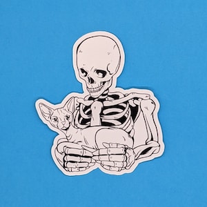 Skeleton Cat Sticker - Cute  Spooky Vinyl Decal for Laptop Car or Fridge - Durable Waterproof  Fade-Resistant