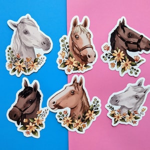 Pferd Stickers Pack - 6 Vinyl-Aufkleber