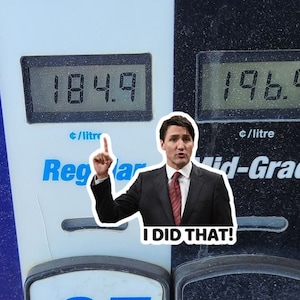 Trudeau I Did That 10 Pack Funny Sticker Waterproof Vinyl Decals Canada image 1