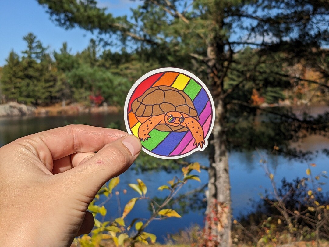 Groovy Pride Turtle LGBTQIA2S Sticker, Pride Sticker, LGBT Sticker ...