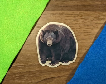 Hank The Tank Fat Bear Sticker | Bear Sticker | Laptop Sticker | Phone Sticker | Decal