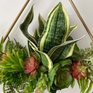 Simple succulents image 4