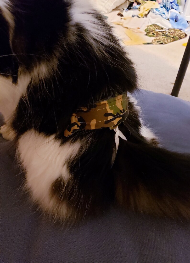 Belly Band for Cats Special Needs Manx Syndrome Incontinence Etsy