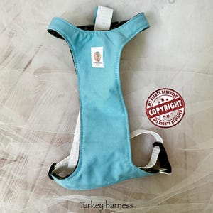 Pu&ograve; includere: Una pettorina per tacchino color azzurro con cinghie in nylon bianco e fibbie in plastica nera. Una piccola etichetta rettangolare del marchio &egrave; centrata sul pannello pettorale. Il testo "Turkey harness Light blue Exclusively from FurMommaCreations" &egrave; visibile.