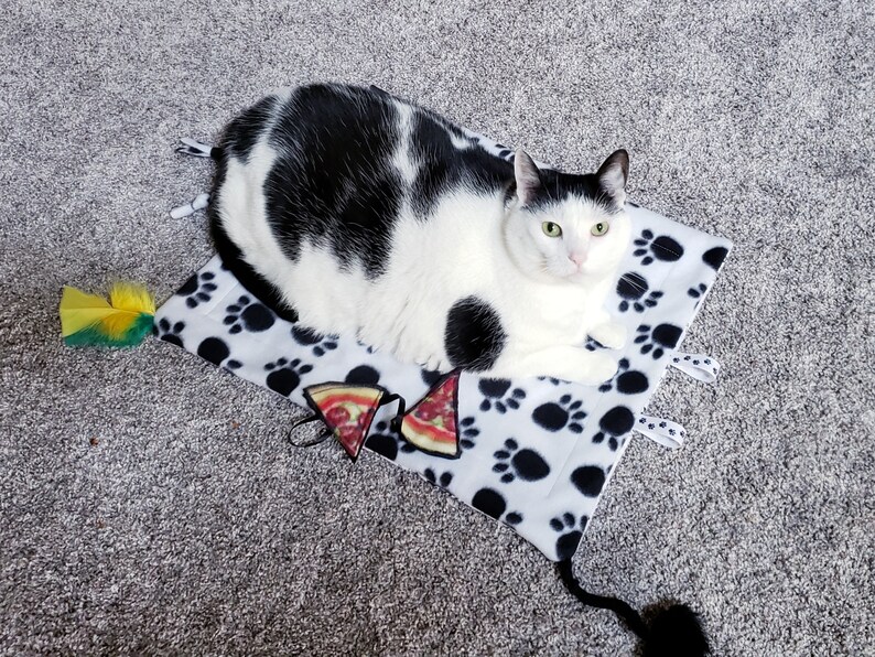 Cat kitty pet blanket Interactive cat nip crinkle cuddle Etsy