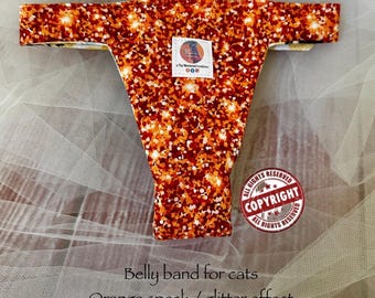 Cat Belly Band: Mutandine con borchie, Bisogni speciali, Incontinenza, Spruzzatura, Marcatura, Lavabile. Progettato esclusivamente da FMC, prodotto in America.