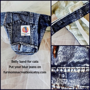 Cats stud pants belly band Special Needs, spraying, leafiness,  incontinence paralysis mobility challenge Wash & Reuse Waterproof fabric USA