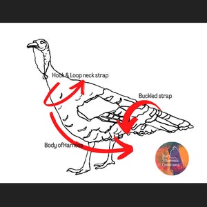 Pu&ograve; includere: Un disegno al tratto in bianco e nero di un tacchino che indossa un'imbracatura. Le frecce rosse indicano il posizionamento di un cinturino da collo a strappo, un cinturino con fibbia e il corpo dell'imbracatura. Incluso un logo circolare con il testo Fur Momma Creations.