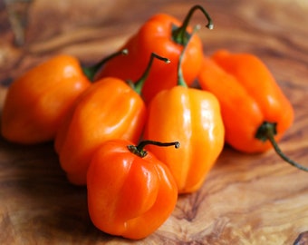 30+ Habanero Hot Pepper Seeds-CAPSICUM CHINENSE-A065