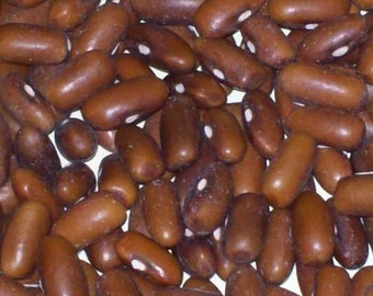 Paquete De Semillas De Frijol Verde Blue Lake