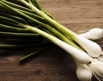 Ponad 100 wysokiej jakości nasion zielonej cebuli dymki - organiczne (bez GMO) - ALLIUM CEPA----A076