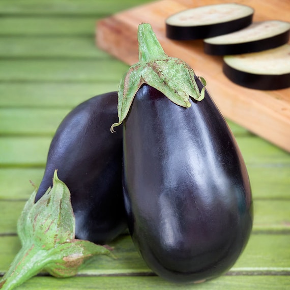 Más de 50 semillas orgánicas de berenjena de belleza negra-variedad  italiana Solanum Melongena Non GMO Heirloom Variety-A081 -  España