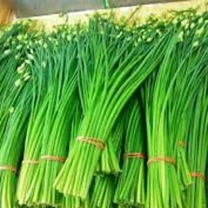 50 Garlic Chives Seeds-Allium Tuberosum-Excellent Culinary Herb-G082-Powerful flavour image 6