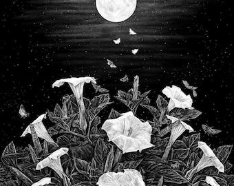 May include: A black and white illustration of a moonlit night with white flowers and moths flying around them.