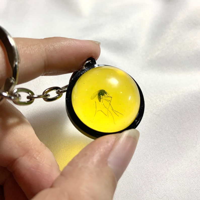 Jurassic Park Mosquito in Amber Resin Keychains Mosquito Etsy