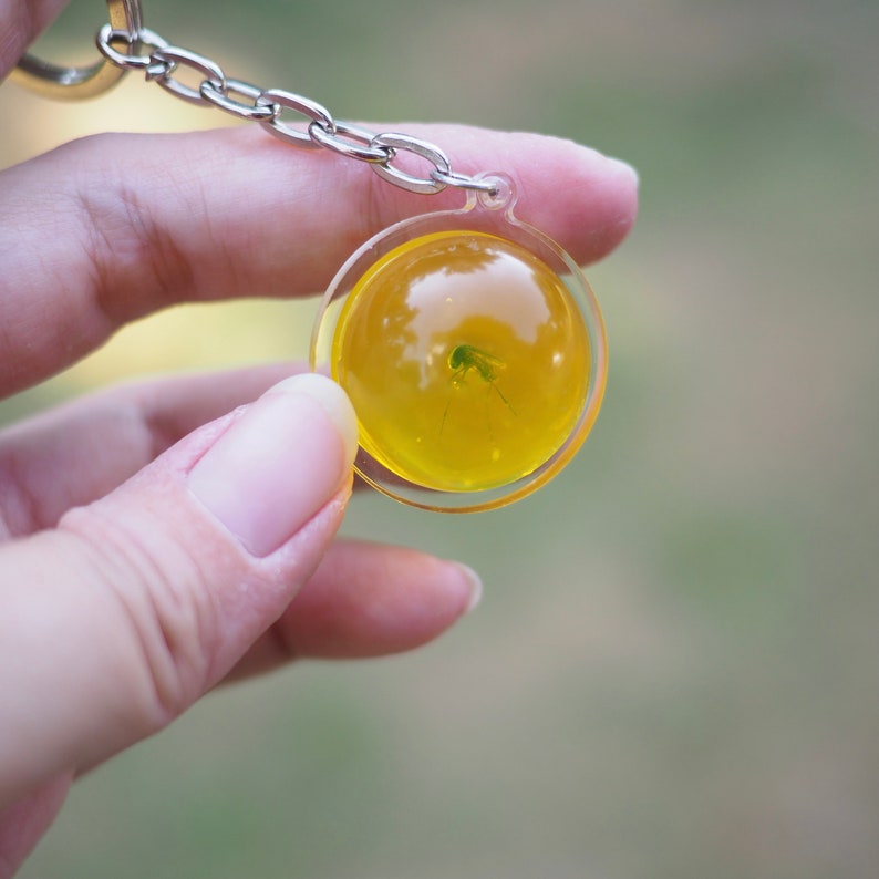 Jurassic Park Mosquito in Amber Resin Keychains Mosquito Etsy
