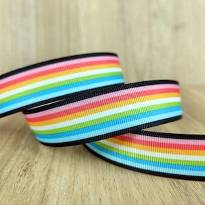 Queer Pride Flag Printed Grosgrain Ribbons 3 Inch,7/8 Inch,5/8 Inch,3/8 Inch
