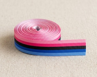 Omnisexual Pride Grosgrain Ribbon 7/8 Inch 22mm, LGBTQ Printed Ribbon for Hair Bows, DIY Crafts, Gift Wrap, Ribbon by Yard