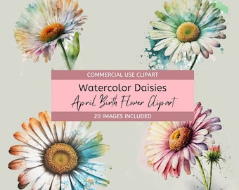 Imágenes prediseñadas de margarita de lavado de acuarela, flor de nacimiento de abril, fondos transparentes, archivos PNG de alta calidad de 300 ppp. Descarga instantánea, uso comercial.