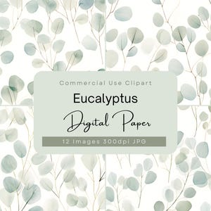May include: A digital paper pack featuring 12 seamless patterns of eucalyptus leaves in shades of green and white.  Commercial Use Clipart Eucalyptus Digital Paper 12 Images 300dpi JPG.