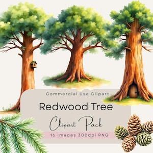 May include: Watercolor illustration of three redwood trees with green foliage and brown trunks. One tree has a birdhouse, another a small door. The image includes text that reads "Redwood Tree Clipart Pack".