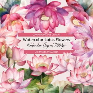 Aquarela Flor de Lótus Aquarela Lily Pads Aquarela Clipart Flores Download instantâneo Download digital Uso comercial 300dpi
