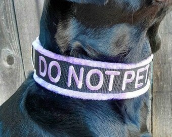 service dog e collar