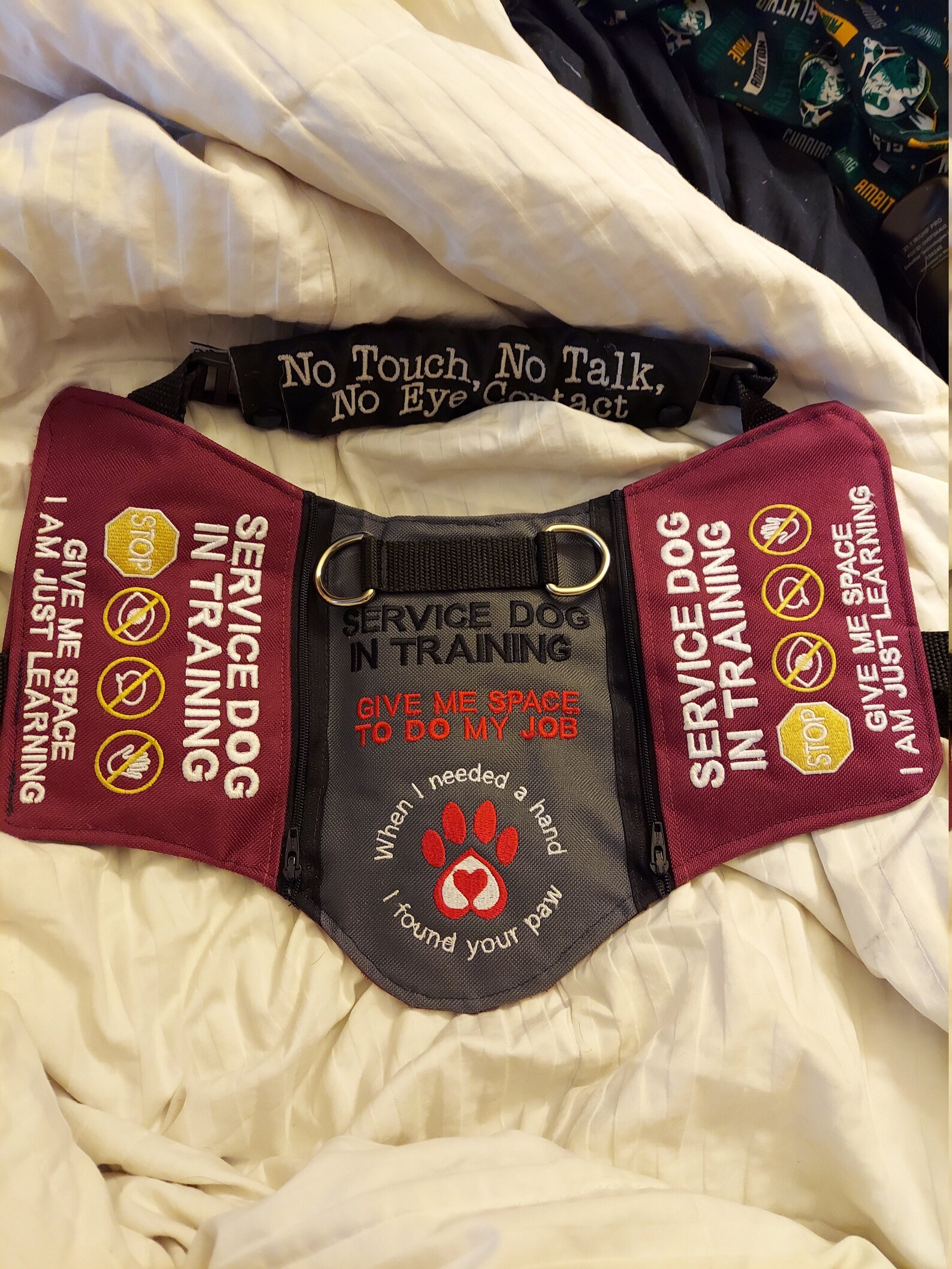 Custom Service Dog Vest Etsy