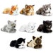 Signature Cuddle Kittens soft stuffed cat keel toys 25cm | Etsy