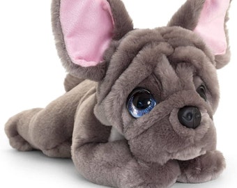 frenchie teddy