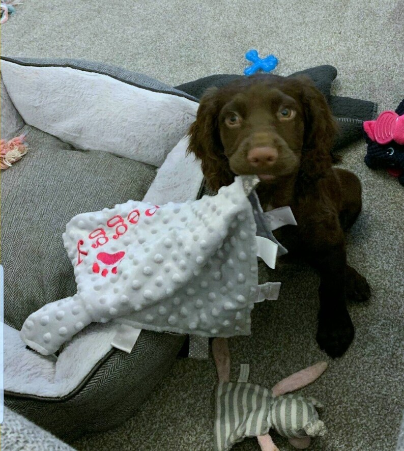 Personalised puppy blanket custom pet comforter with tags Etsy