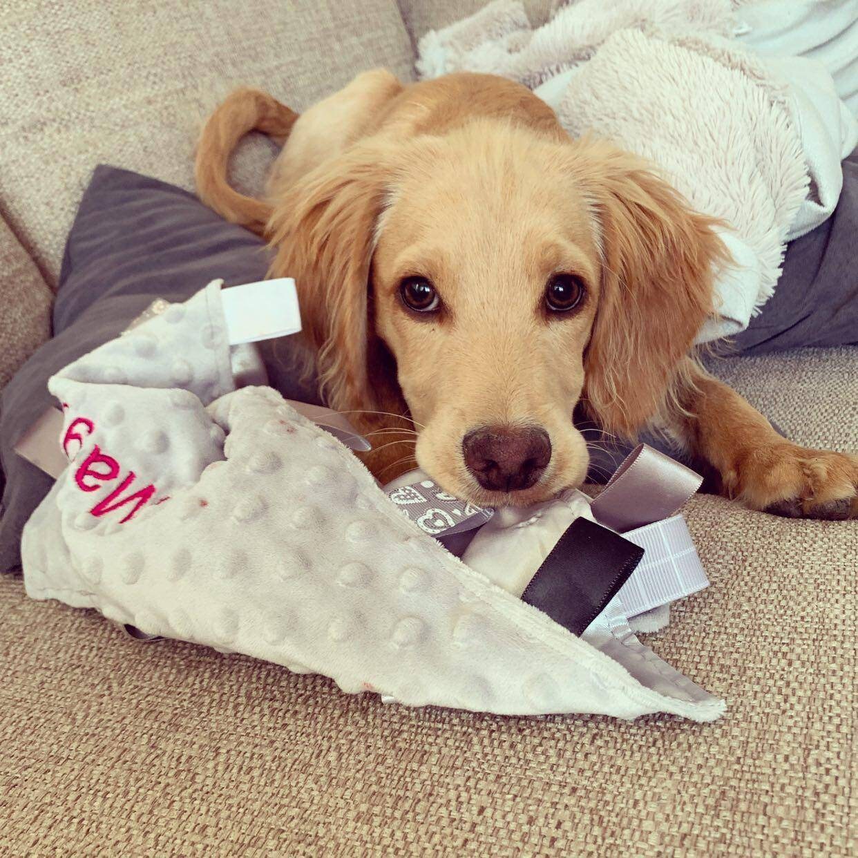 Personalised puppy blanket custom pet comforter with tags Etsy