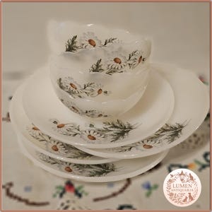 Juego de postre en vaso de leche Arcopal «Marguerite»: nostalgia francesa de los años 70