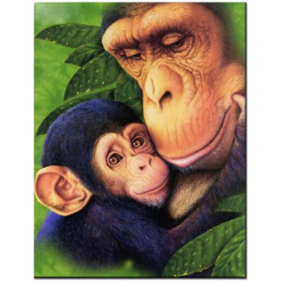 3D Diamond Painting Three Monkeys Full Square Round Embroidery Rhinestones Decor 3D Diamond Painting Three Monkeys Full Square Round Embroidery Rhinestones Decor