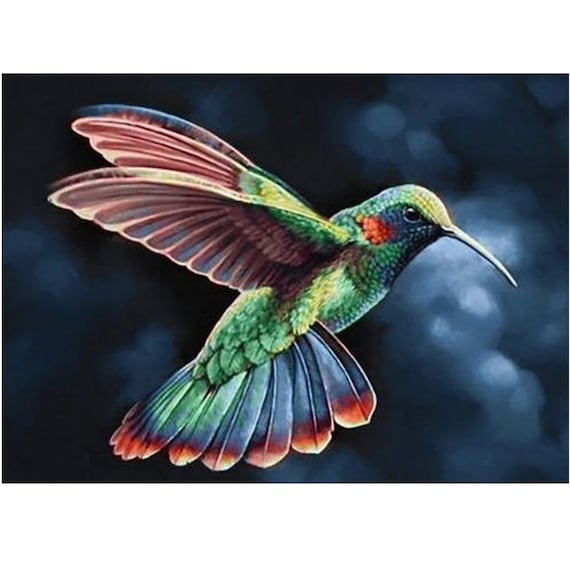 Hummingbird DIY Diamond Painting Embroidery Cross Stitch Full Drill Mosaic  Square/round Resin Rhinestones Diy Wall Art 