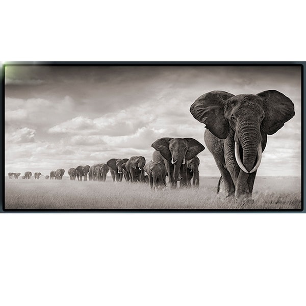 Large 5D DIY Diamond Painting Black Africa Elephants Wild Animals diamond embroidery full resin rhinestone art mosaic