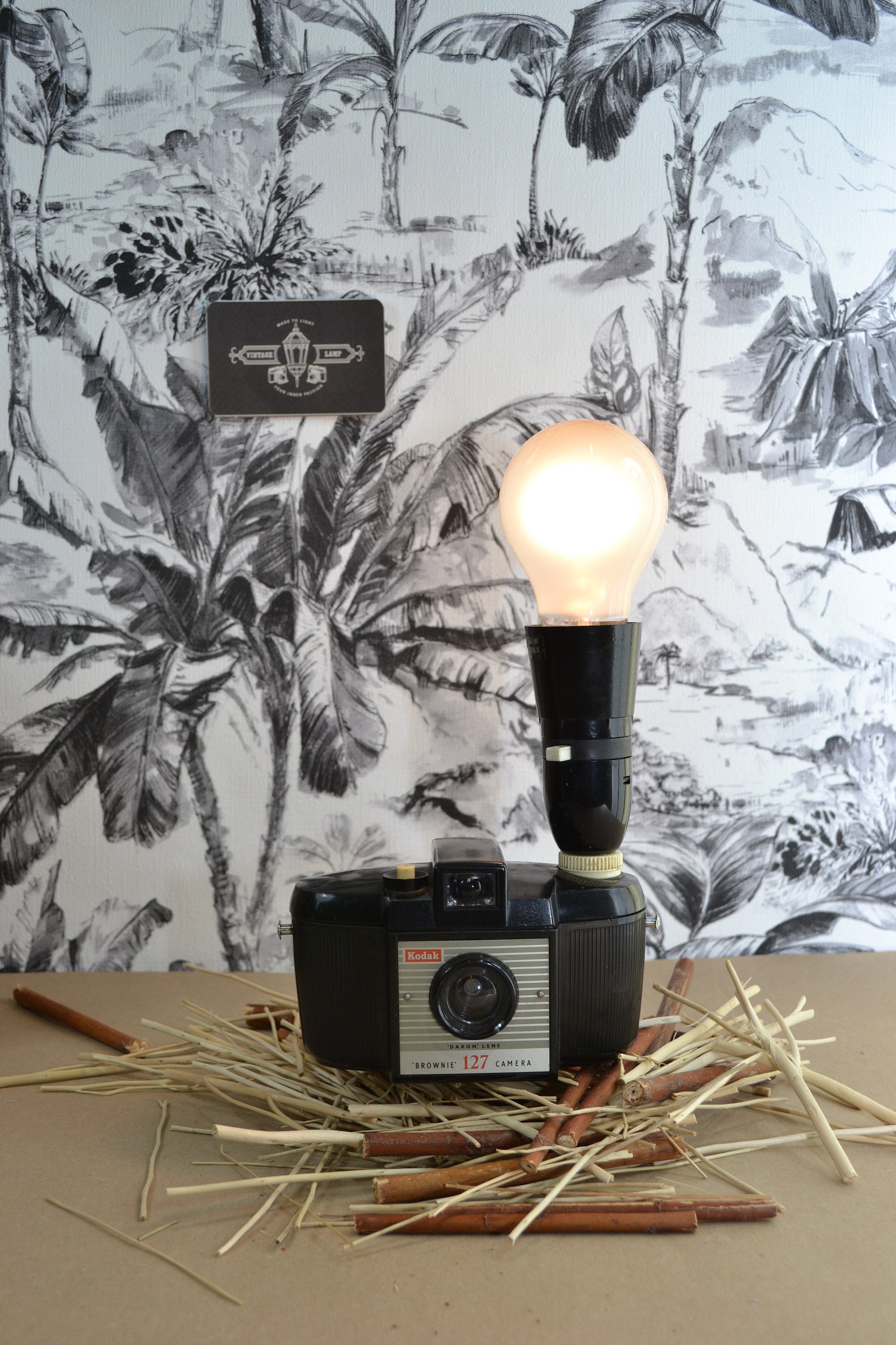 Lampe inactinique Kodak modèle B avec filtre OC – New Wave Pool