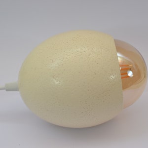 Handmade Ostrich Egg Pendant Lamp: Unique Ceiling Light