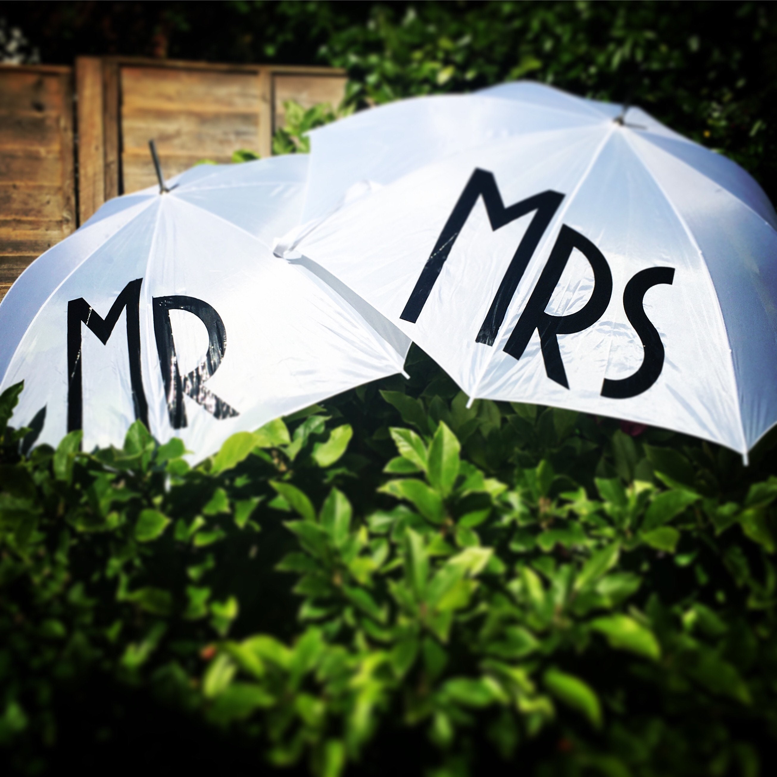Mr & Mrs Umbrellas Mr and Mr Mrs and Mrs Umbrella Etsy UK