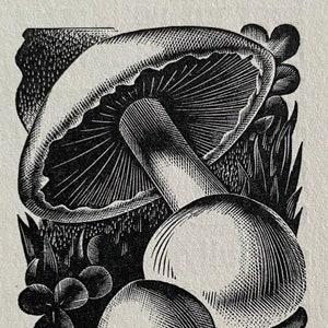 1936 AGNES MILLER PARKER &#39;Pilze&#39; Holzstich Gedruckt bei Camelot Press ca.