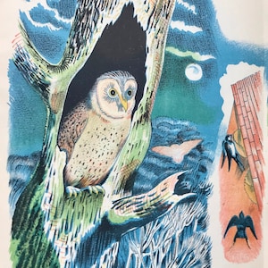 1946 John Nash &#39;Wild Birds of Britain&#39; Print Book 13.5x9.5ins.