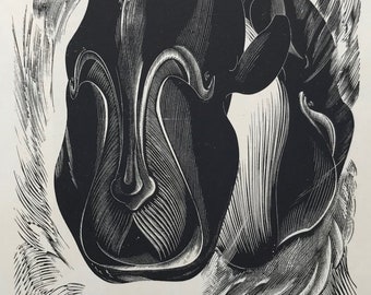 現在、この商品の在庫はありません - Etsy