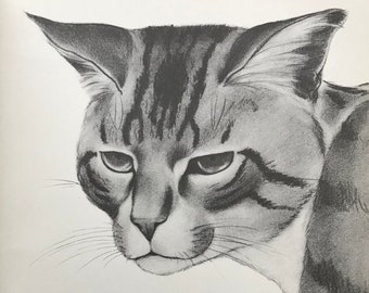 Lámina de ZHENYA GAY CAT de 1933, «Viejo guerrero», de la colección «Gatos de ciudad». Aprox. 25,4 x 18,4 cm. Decoración de pared moderna de mediados de siglo.