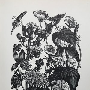 1935 CLARE LEIGHTON houtgravure 'Onkruid'. Camelot-pers gedrukt op zwaar kunstpapier. Velformaat C. 10 x 7,5 inch..